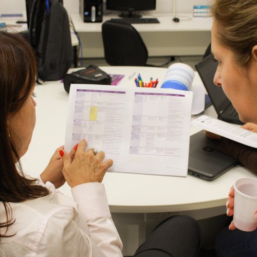 Programa Crescer em Rede (10)