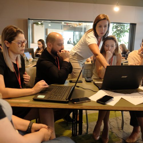 Programa Crescer em Rede (14)