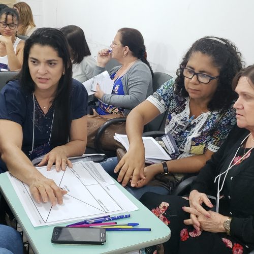 Programa Crescer em Rede (4)