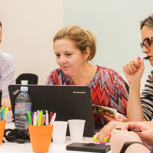 Programa Crescer em Rede (9)